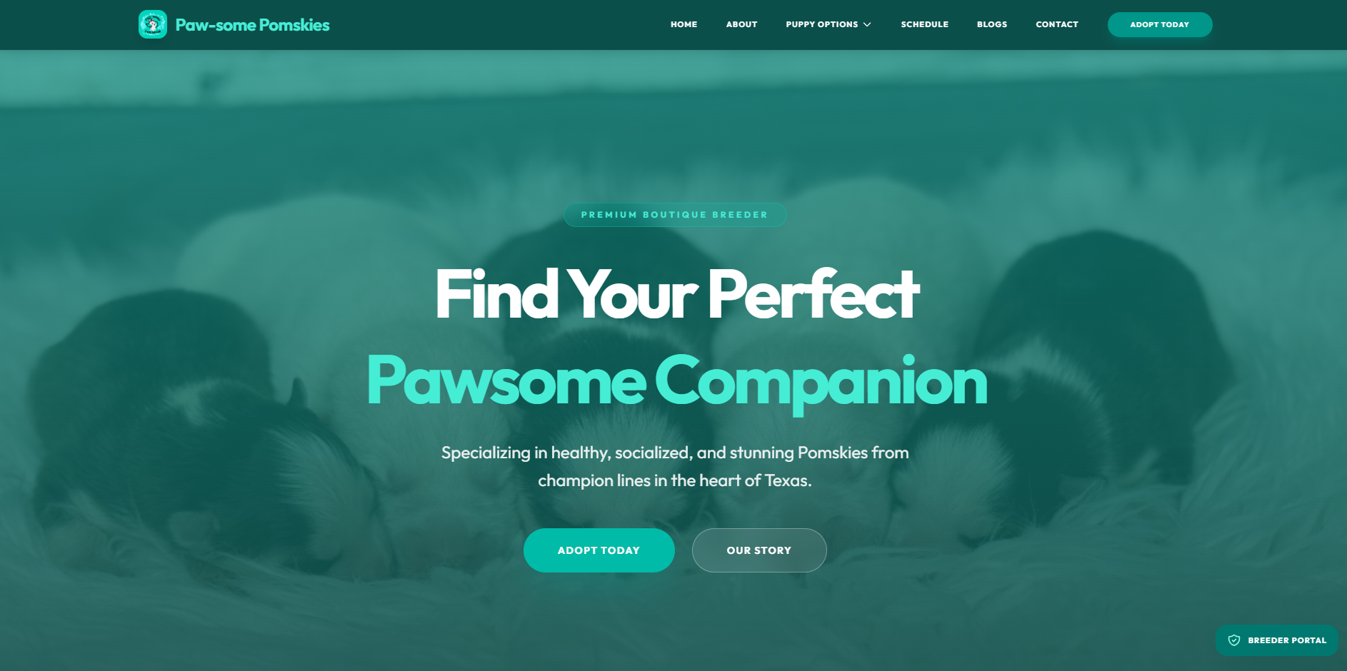 Pawsome Pomskies website