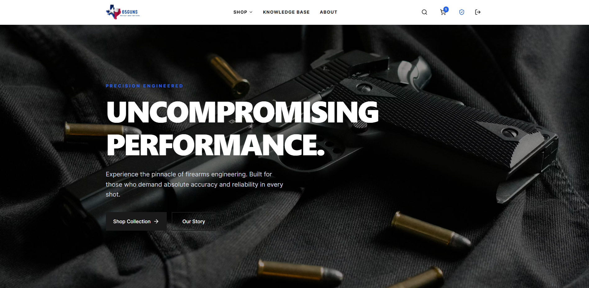 TX65 Guns website